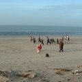WCR_strand_2005_0001
