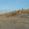 WCR_strand_2005_0003