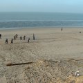 WCR_strand_2005_0006