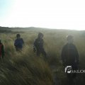 WCR_strand_2005_0065