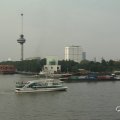 IMGP2062