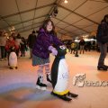 IMG_363181