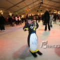 IMG_363305