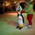 IMG_363451
