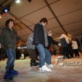 IMG_363529