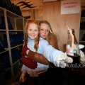 IMG_363992
