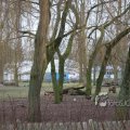 IMG_365174