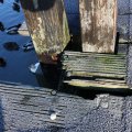 IMG_367312