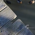 IMG_367314