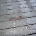 IMG_367325