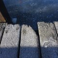 IMG_367337