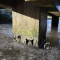 IMG_367339
