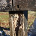 IMG_367355