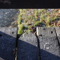 IMG_367361