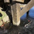IMG_367370
