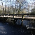 IMG_367384