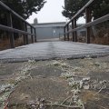 IMG_367424