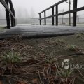 IMG_367426