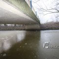 IMG_367453