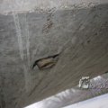 IMG_367457