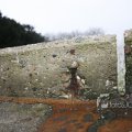 IMG_367481