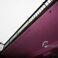 IMG_367537