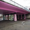 IMG_367538
