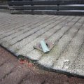 IMG_367547
