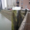IMG_367550