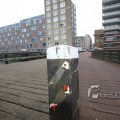 IMG_367553