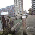 IMG_367554