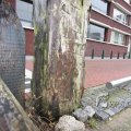 IMG_367556