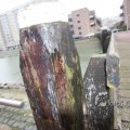 IMG_367557