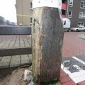 IMG_367558