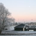 IMG_366581