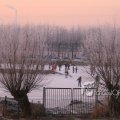 IMG_366646