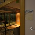 IMG_371325