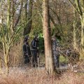 IMG_373129