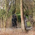 IMG_373130