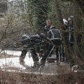 IMG_373137