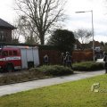 IMG_373141