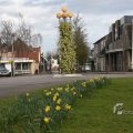 IMG_373181