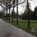 IMG_373194