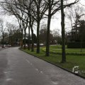 IMG_373195