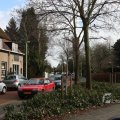 IMG_373196