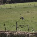 IMG_373202