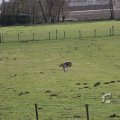 IMG_373203