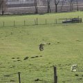 IMG_373204