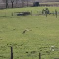 IMG_373205