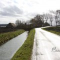 IMG_373210